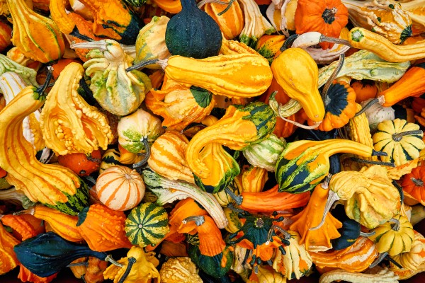 autom colors by Andrew Wasik